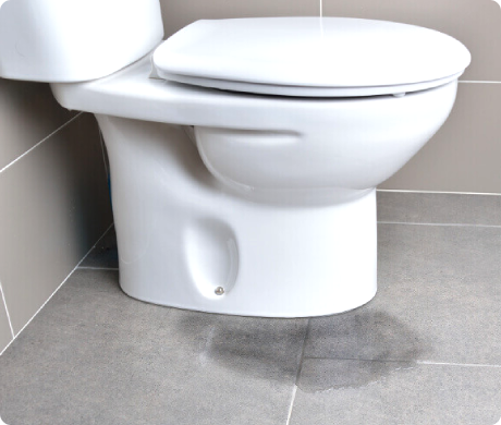 fix toilet leak